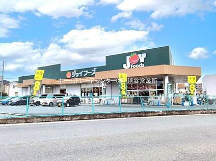 ジョイフーズ越谷大袋店 614ｍ(徒歩8分)