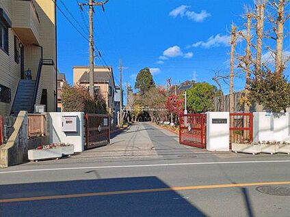 草加市立川柳中学校 800m(徒歩10分)