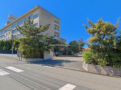 草加市立青柳中学校 960m(徒歩12分)