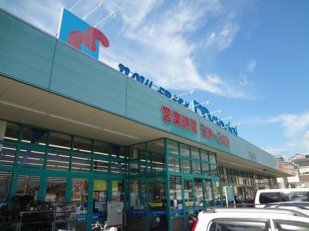 マンダイ（約900m）