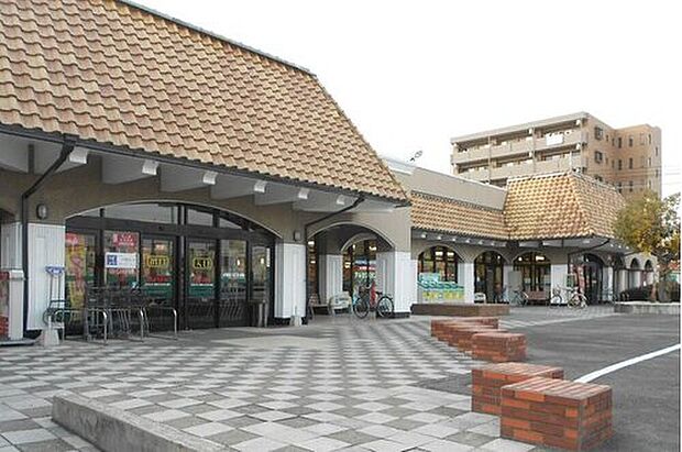 とりせん新前橋店(約1,290m)