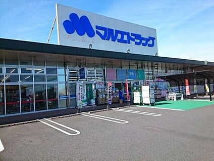 マルエドラッグフォリオ富岡店 940m (徒歩12分・自転車4分)