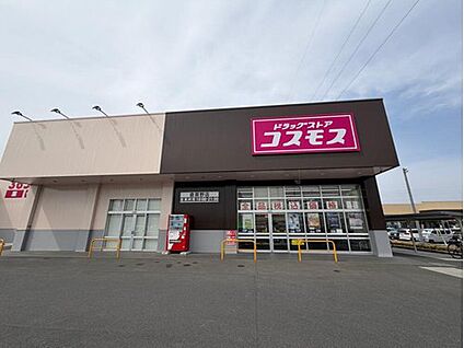 ディスカウントドラッグコスモス倉賀野店 1160m(徒歩15分)
