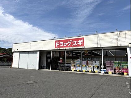 ドラッグスギ片岡店 1243m (徒歩16分)