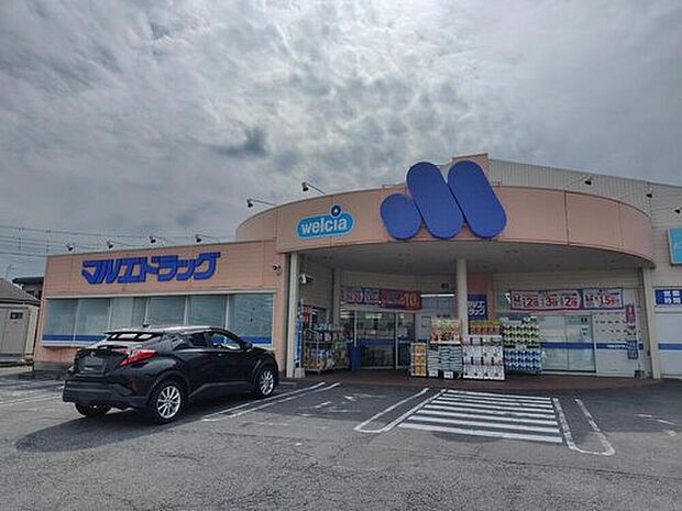 マルエドラッグ渋川石原店(約571m)