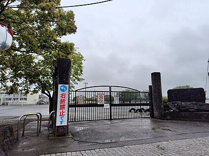 玉村町立玉村小学校 544m(徒歩7分)