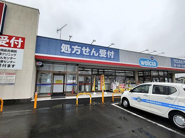 ウエルシア玉村店（約250m）
