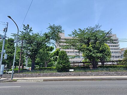 前橋市立鎌倉中学校 1400ｍ(徒歩18分)