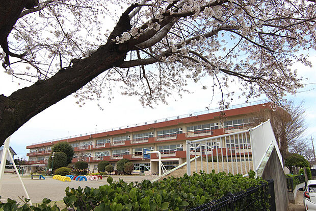 岡部小学校（約825m）
