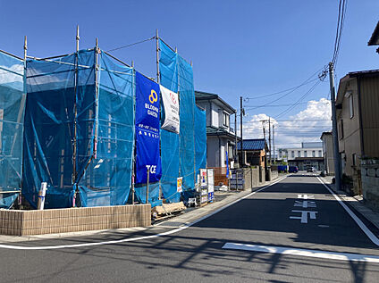 現地写真　6月撮影