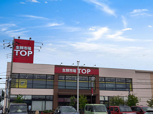 生鮮市場TOP高麗川店（約294m）