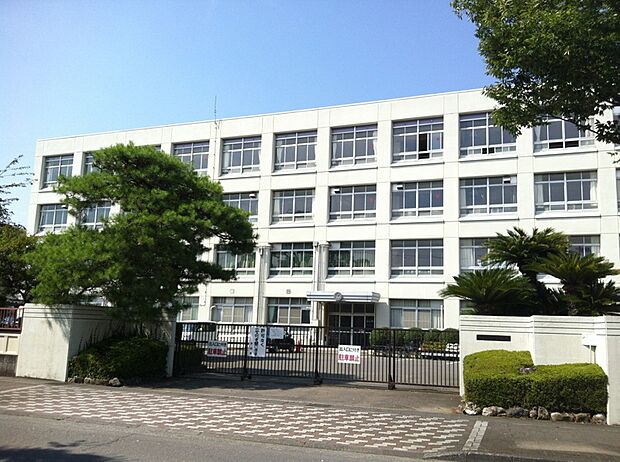 藤枝小学校(約650m)