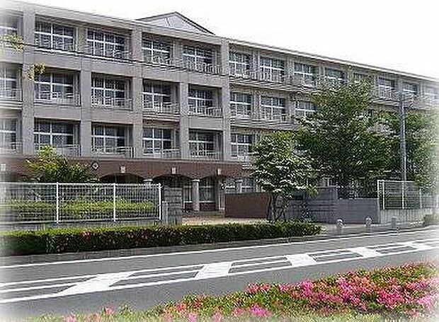 富士中学校（約800m）