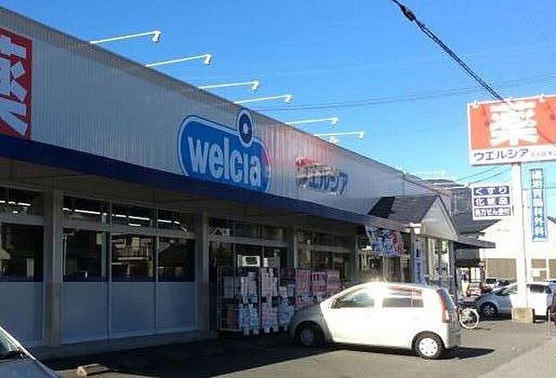 ウエルシア興津店（約650m）