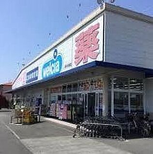 ウエルシア清水下野店 750ｍ(徒歩10分)