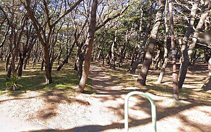 千本浜公園 300ｍ(徒歩４分)