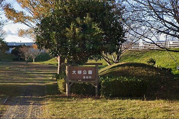 大柳公園(約500m)