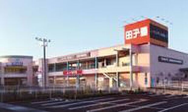 スーパー田子重鳥坂店(約800m)