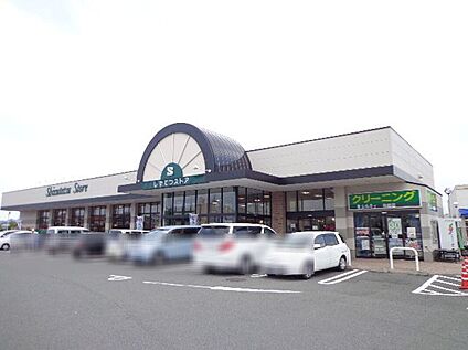 しずてつストア島田店 500ｍ(徒歩７分)