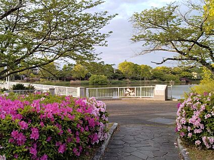 向山緑地(向山大池) 約540m(徒歩約7分)