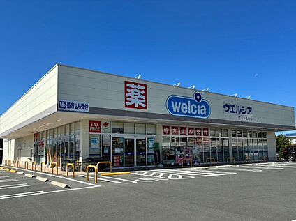 ウエルシア豊川中条町店 約350m(徒歩約5分)