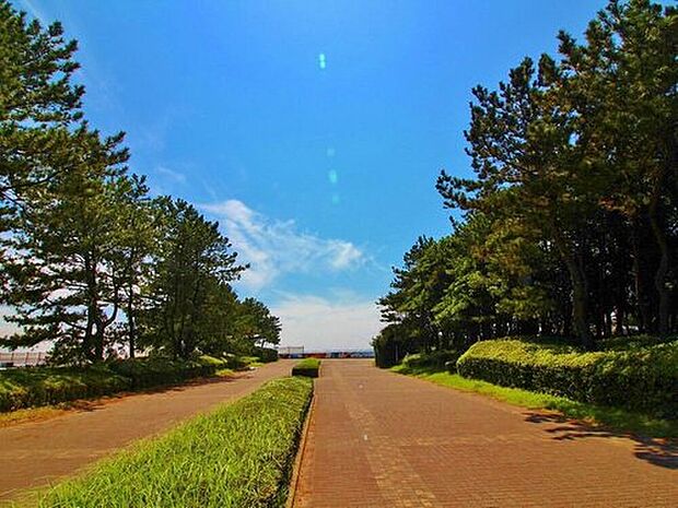 検見川の浜（約1,042m）