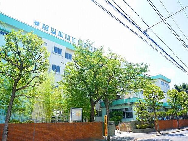 江戸川区立篠崎中学校（約784m）