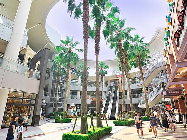 ららぽーとTOKYOーBAY(約1,000m)