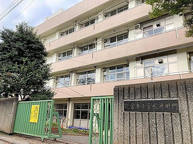船橋市立宮本小学校(約650m)