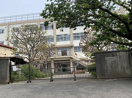 市川市立柏井小学校 650ｍ