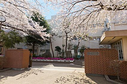 緑町中学校 1000m
