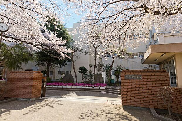 緑町中学校(約1,000m)