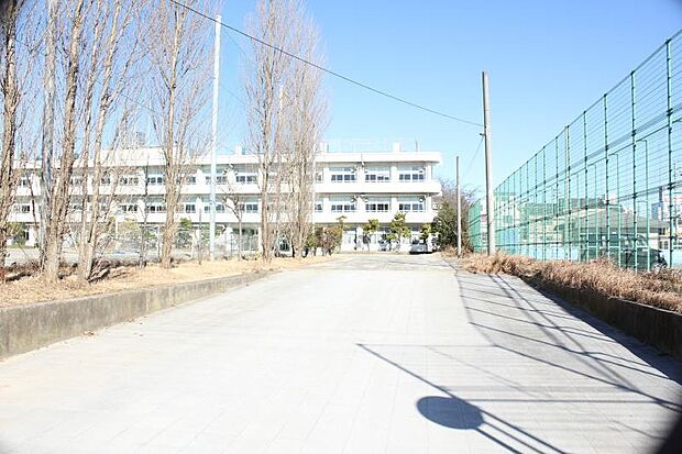 浦安市立堀江中学校(約400m)