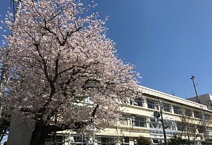船橋市立八栄小学校 1200ｍ