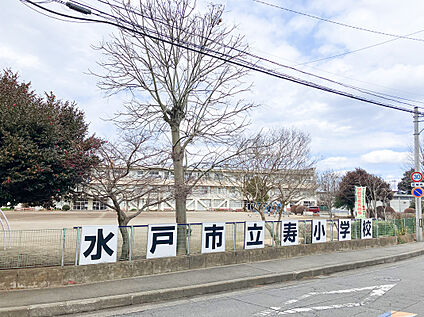 寿小学校 約1200m(徒歩15分)