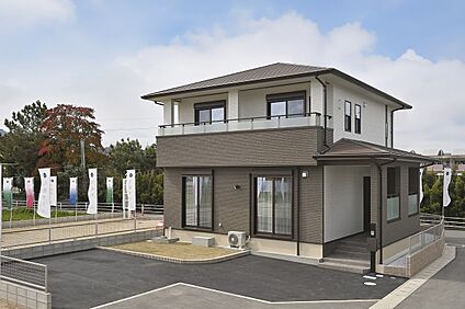 11号地