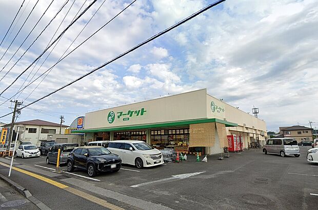 旬感マーケット大塚店（約600m）