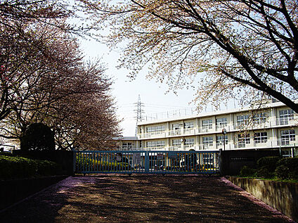 守谷市立御所ケ丘小学校 約1,330ｍ(徒歩約17分)
