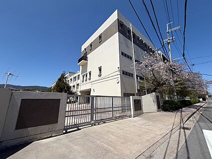 長岡中学校 約585ｍ(徒歩8分)