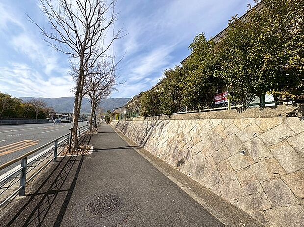 裏側空いており、通風良好で開放的♪
現地(2026年02月)撮影