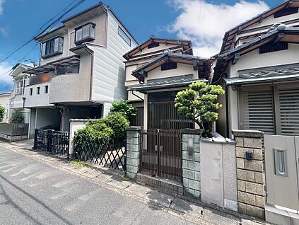 現地写真