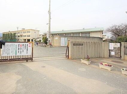 第3向陽小学校 約400ｍ(徒歩５分)