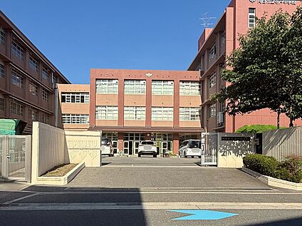 寺戸中学校 約259ｍ(徒歩4分)