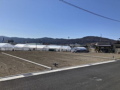 7号地（2026年3月撮影）