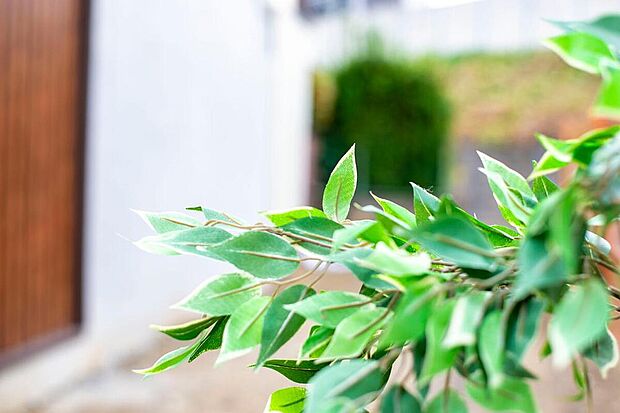 【高殿3丁目】
限定1区画の自由設計対応分譲地!大阪メトロ谷町線「野江内代」駅/「関目高殿」駅まで徒歩8分の立地です。小学校まで徒歩2分!教育施設や買物施設が徒歩圏内に揃う、暮らしやすい住環境です。