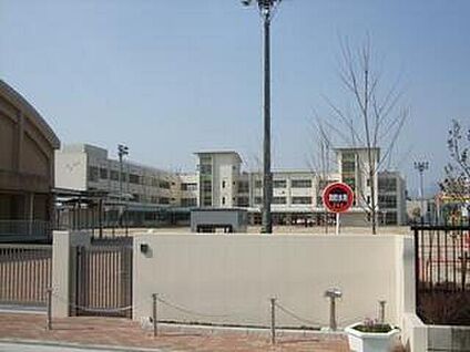 立花小学校 約550m(徒歩7分)