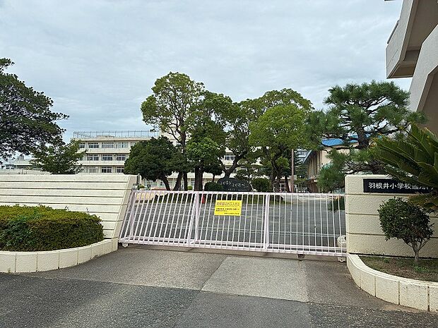 羽根井小学校