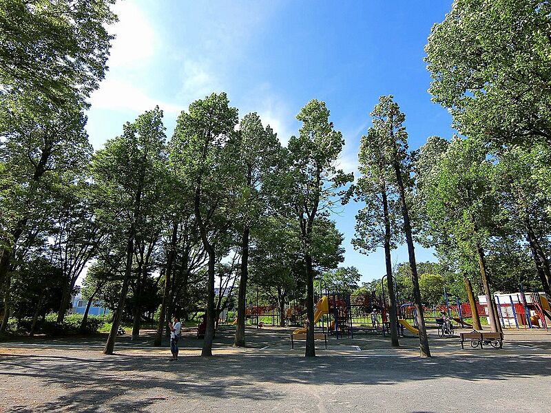 鷺沼公園(滑り台、上り棒等がからみあった大型の遊具、ブランコ、鉄棒など一通りそろっているので、子どもたちの運動不足解消に、絶好の遊び場スペースです。)