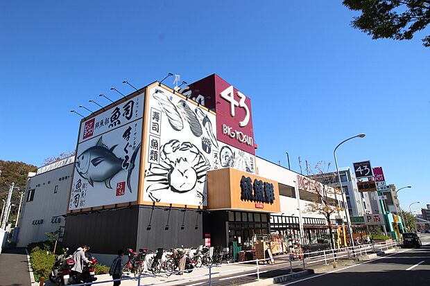 ビッグヨーサン横浜都筑店(約1,100m)