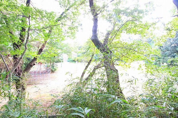 多摩美ふれあいの森(約500m)